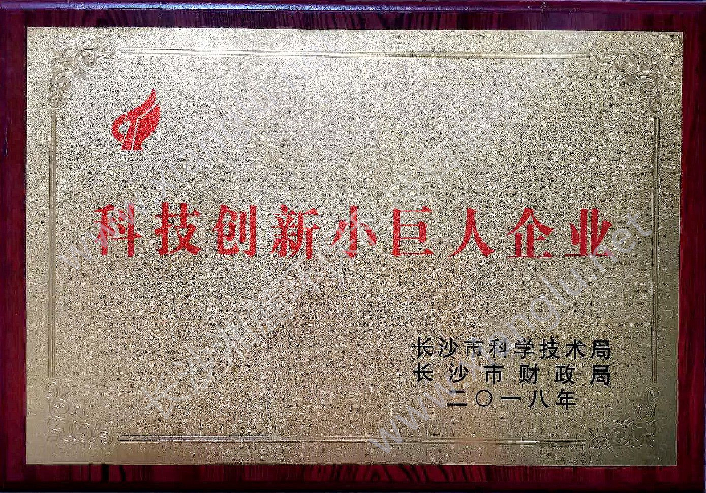 科技創新小巨人企業